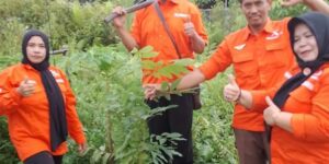 HUT Ke-1 Jadi Bukti Nyata: Gerakan Rakyat Kalteng Perkuat Komitmen Hijau untuk Generasi Mendatang